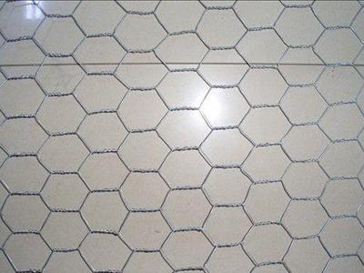 鍍高爾凡格賓網