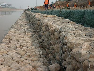 高爾凡雷諾護墊