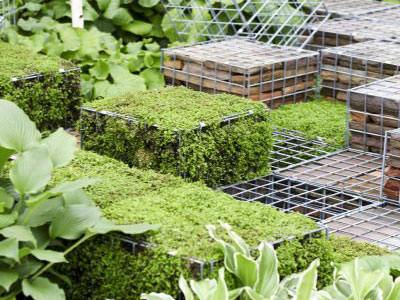 電焊石籠網園林工程案例