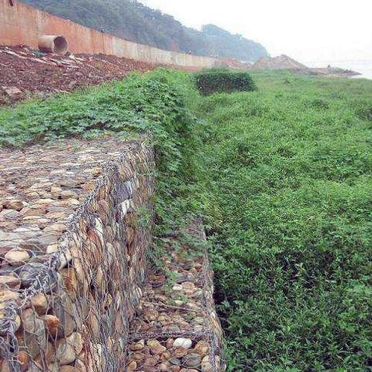 格賓網擋墻堆砌后的優勢是什么